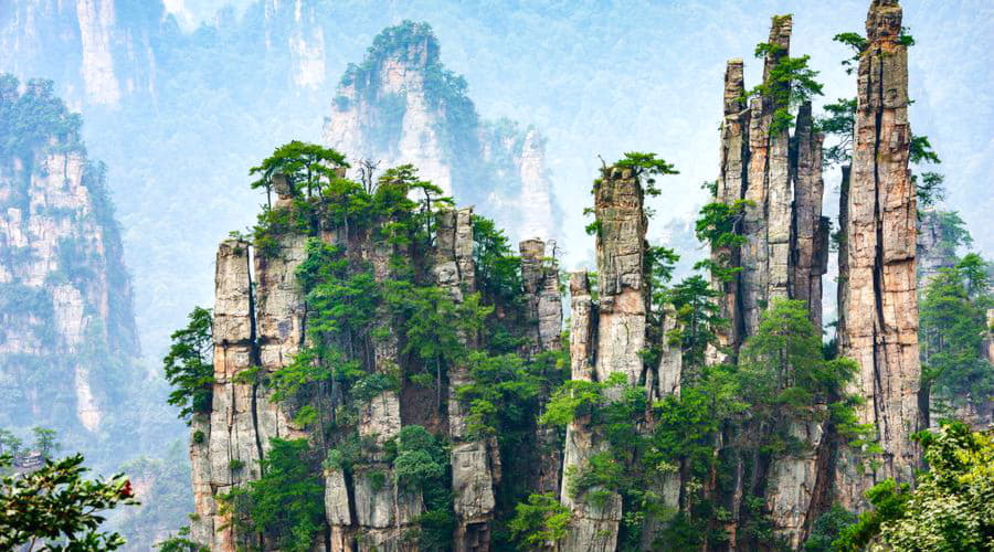 Quali sono le scelte di veicoli più popolari a Zhangjiajie?